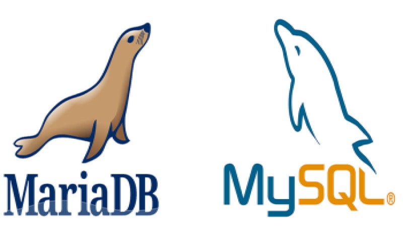 QUERY LOG  در MYSQL